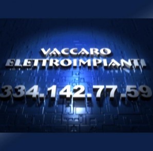 vacca