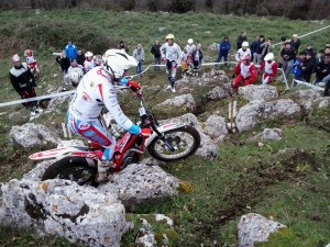 trial oliveto 2013