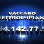 vaccaro