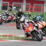 miche 2014 600 105 nespoli_1