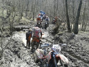 enduro conza letame