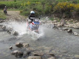 giulio rally