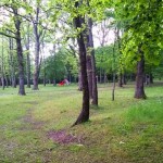 FUORISTRADA BASIC BOSCO CUPONE