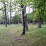 FUORISTRADA BASIC BOSCO CUPONE
