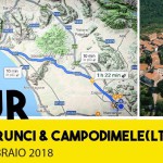 aurunci