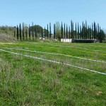uisp enduro perito
