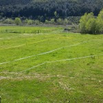 uisp enduro perito