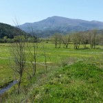 uisp enduro perito