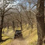 100 miglia quad