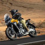 STELVIO GUZZI