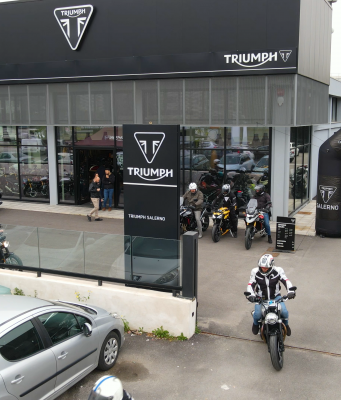 triumph salerno