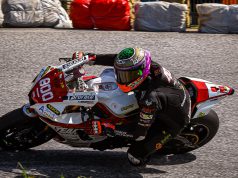 maurizio bottalico