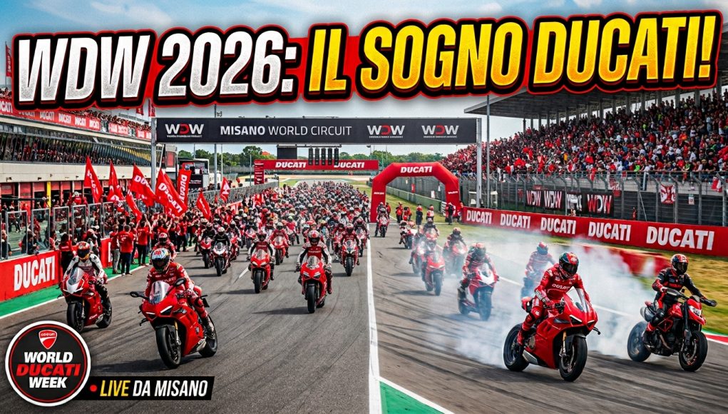 WDW 2026